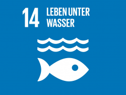 SDG 14: Leben unter Wasser